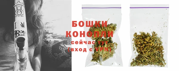 тгк Лиски