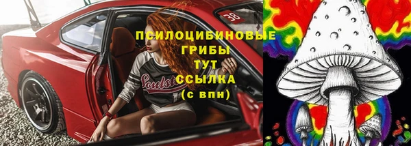 тгк Лиски