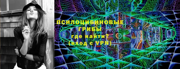 тгк Лиски