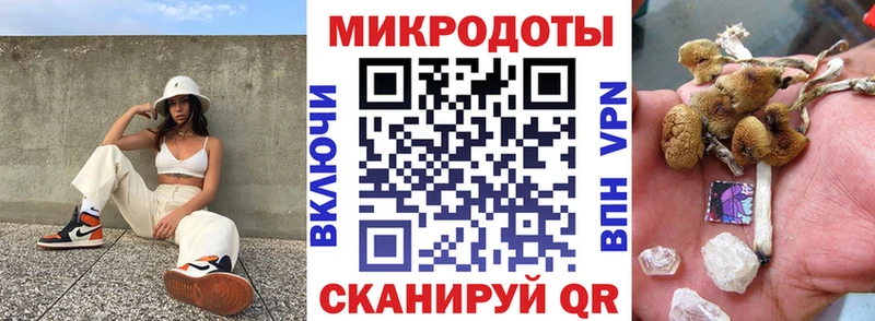 Галлюциногенные грибы Psilocybine cubensis  где купить наркотик  Шенкурск 