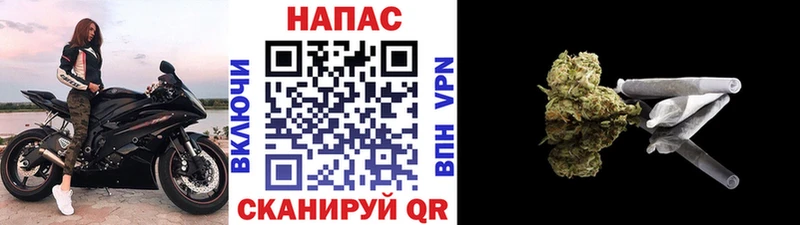 даркнет сайт  Шенкурск  Бошки марихуана индика 